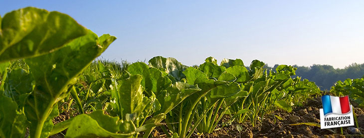 Vente éthanol sans odeur : bio éthanol pour cheminée - Vente